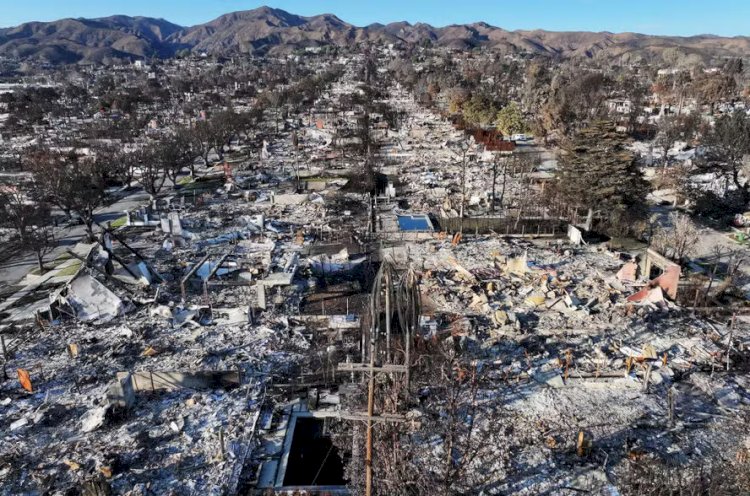 2025: O Ano Mais Quente da História? Ondas de Calor, Queimadas e a Luta pelo Futuro do Meio Ambiente!