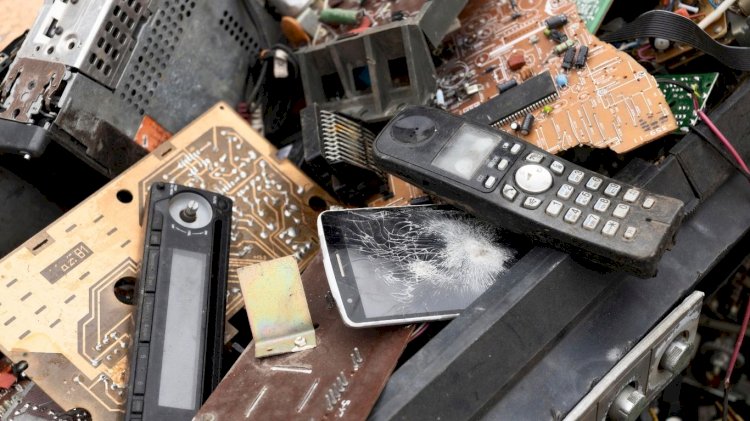 2025: O Ano Mais Quente da História? Ondas de Calor, Queimadas e a Luta pelo Futuro do Meio Ambiente!