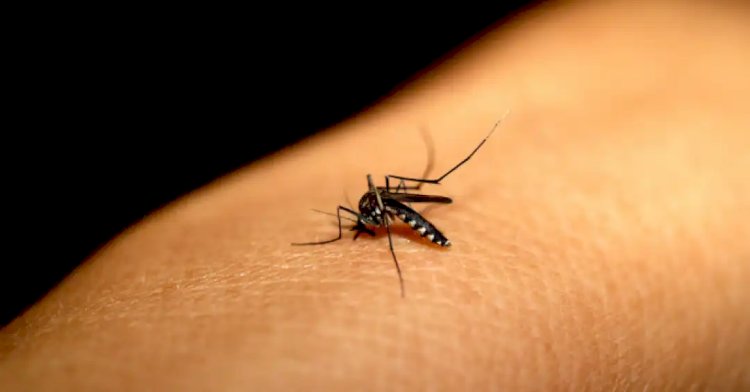 Saúde em Alerta: Doenças Crônicas Avançam, Novos Vírus Surgem e a Ciência Corre Contra o Tempo em 2026!