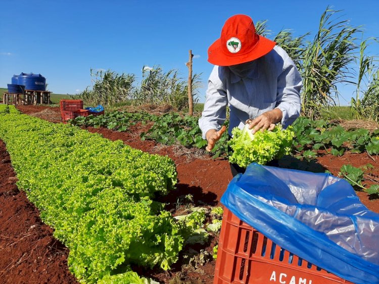 Planeta em Alerta: Aquecimento Global Acelera, Políticas Recuam e Especialistas Temem Ponto Sem Retorno!