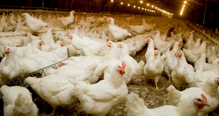 2025 na Saúde: Vacinas, Revoluções Tecnológicas e a Luta Contra Epidemias!