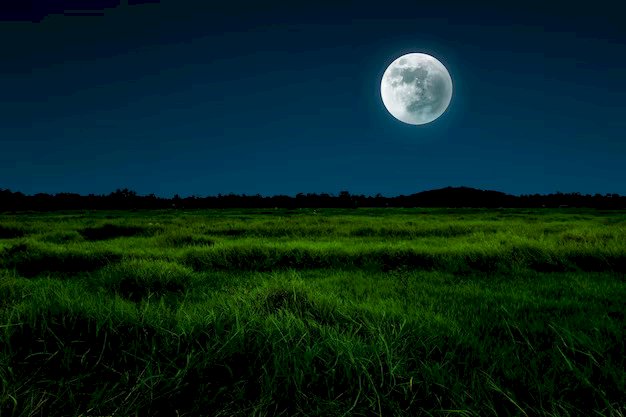 Grandes Eventos de 2025: Inovação, Música e Cultura Prometem Agitar o Brasil!