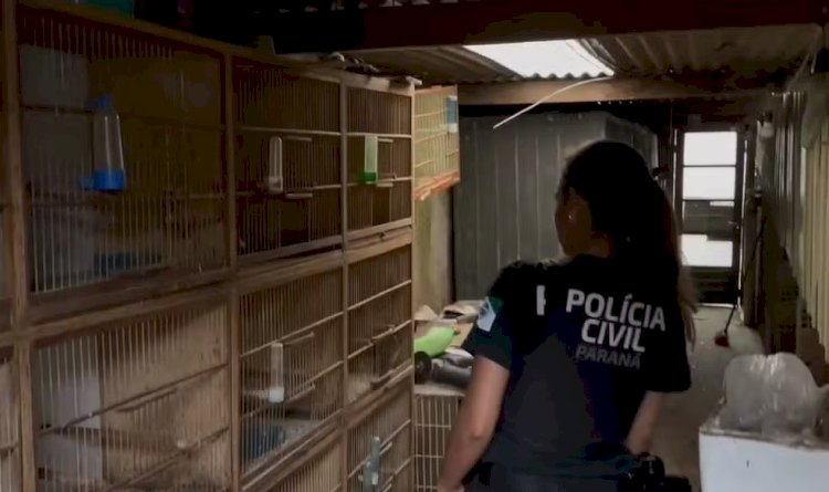 Brasil Intensifica Combate ao Tráfico de Animais Silvestres e Maus-Tratos: Operações e Investigações em Destaque
