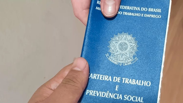 Desemprego no Brasil atinge menor nível em uma década, mas criação de empregos desacelera – O que esperar para 2025?