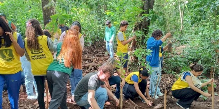 Brasil 2025: Entre Avanços Verdes e Desafios Climáticos – A Hora da Virada Sustentável Chegou?