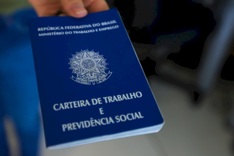 Desemprego no Brasil atinge menor nível em uma década, mas criação de empregos desacelera – O que esperar para 2025?